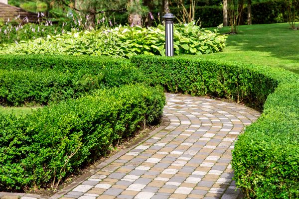 Cost of Paved Landscaping in Murfreesboro