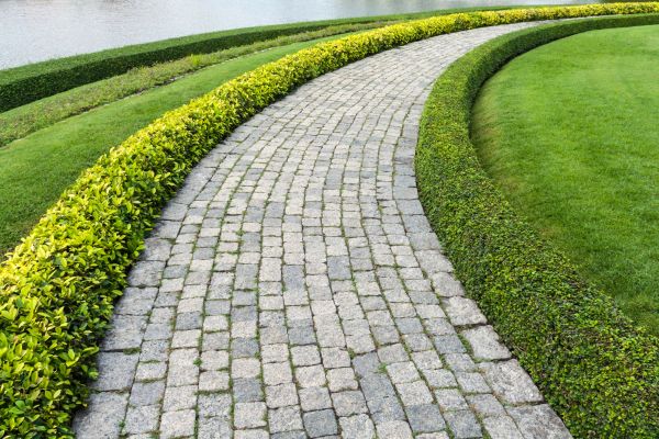 Cost of Sidewalk Pavers Installation in Murfreesboro