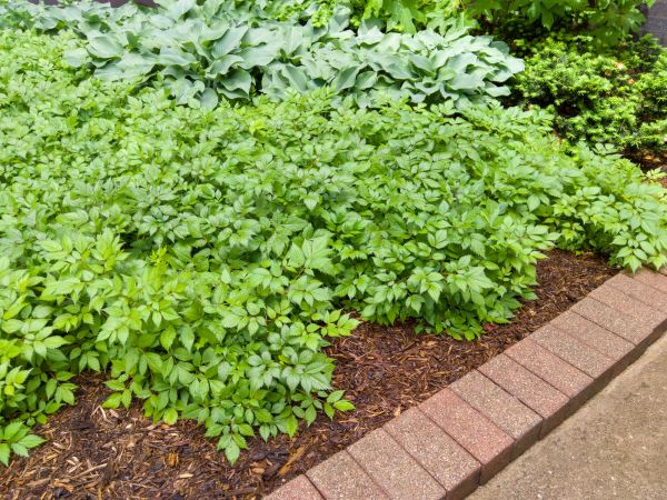 Cost of Brick Hardscaping in Murfreesboro